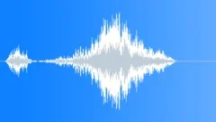 Lion roar strained Sound Effect