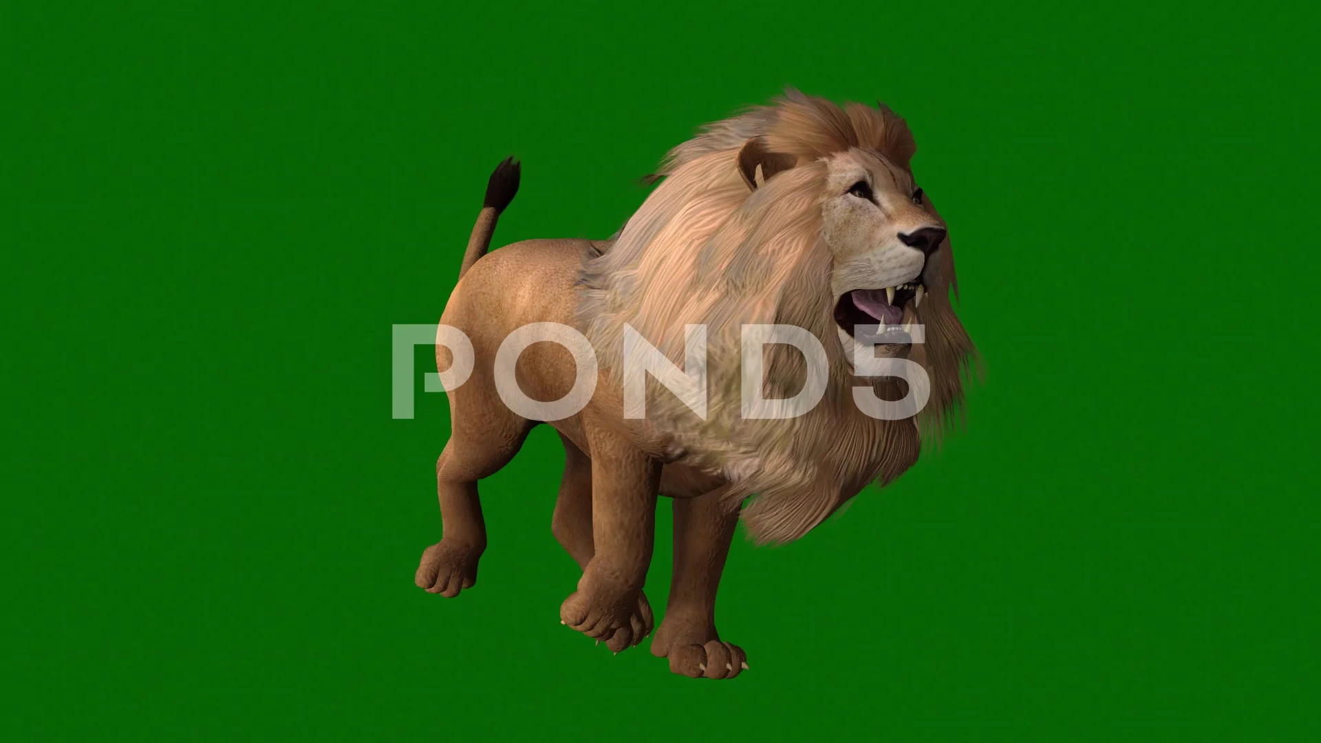 Lion Running Green Screen Animation | Stock Video | Pond5 Lion Running Green Screen Animation | Stock Video | Pond5