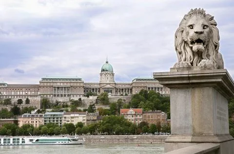 Lion Sculpure of Chainbridge over Danube river with castle in background, Budape Stock Photos