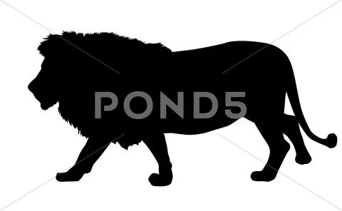 Lion silhouette Stock Illustration