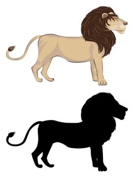Lion with Silhouette 스톡 일러스트