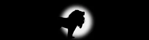 Lion Silhouette Standing In Spotlight Vídeo Stock 335225690