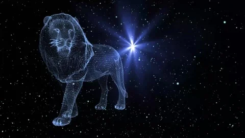Lion stars Stock Footage 243734862