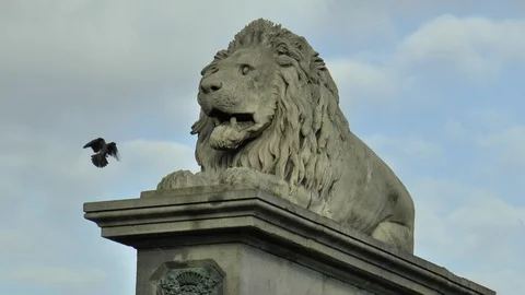 Lion Statue Budapest With Crow Stock Footage 99640744