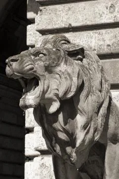 Lion statue, budapest Stock Photos