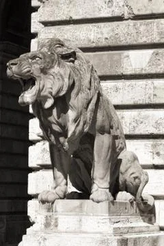 Lion statue, budapest Stock Photos