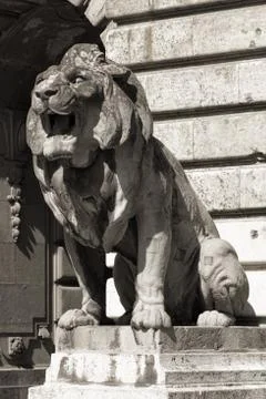 Lion statue, budapest Foto stock
