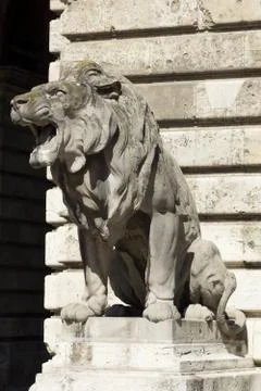 Lion statue, budapest Stock Photos