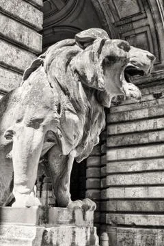 Lion statue, budapest Stock Photos