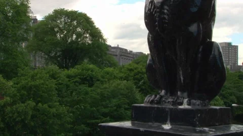 Lion Statue Video stock 8358408