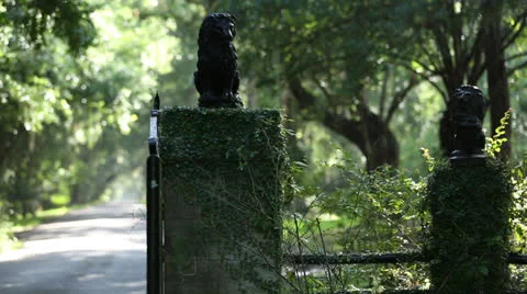 Lion Statue On Gate 스톡 동영상 26602112