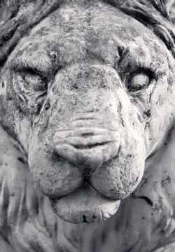 Lion Statue Stock Photos