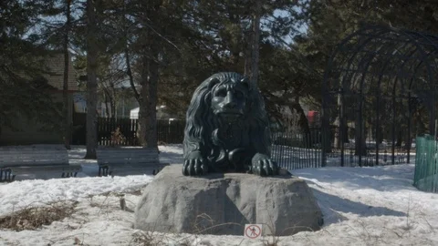 Lion Statue in Winter Vidéo 88788949