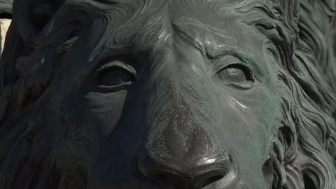 Lion statues San Marco square, Jacksonville, Florida, USA Video stock 71241428