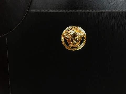 Lion on the suitcase Foto stock