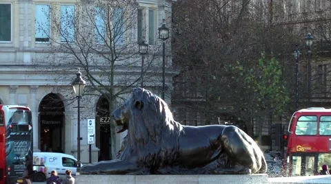 Lion Trafalgar Square Stock Footage 46370748