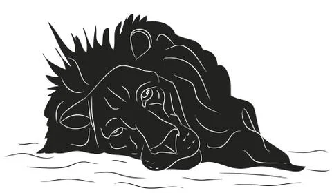Lion vector, drawing silhouette, vector Stock Illustration