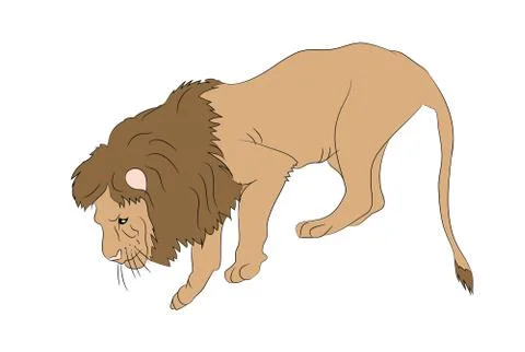 Lion  vector. Stock Illustration