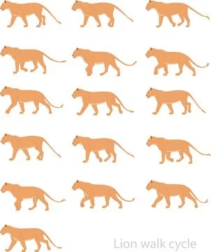 Lion walk cycle Stock Illustration