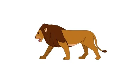 Lion Walking Cycle Loop Green Screen Stock Footage 305724873