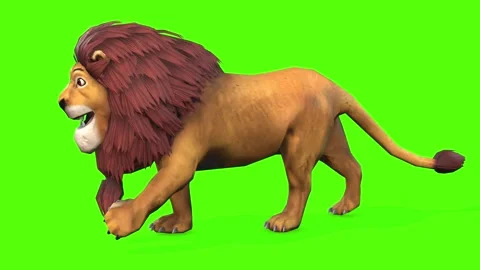 lion green screen cartoon