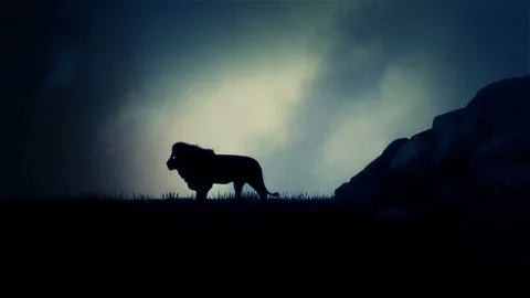 Lion Walking Out of a Cave Under a Storm Stock Footage 93849652