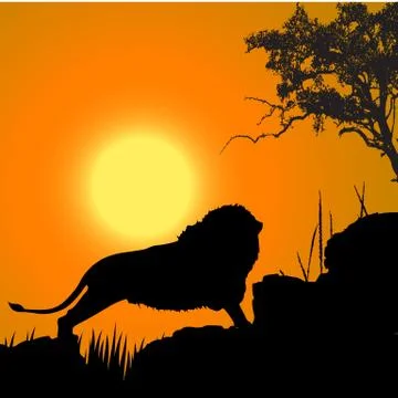 Lion, wildlife Stock Illustration