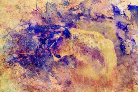 Lioness and graphic effect. Computer collage. Marble effect. Stock-Illustration