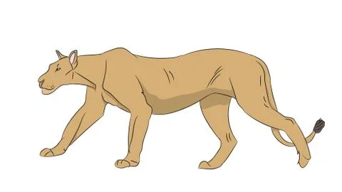 Lioness color, vector Stock Illustration