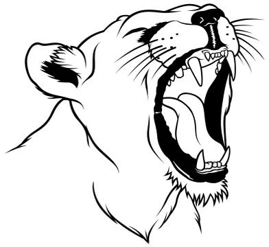 Lioness Head Stock Illustration