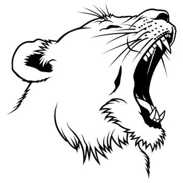 Lioness Head Stock Illustration