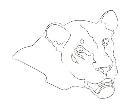Lioness portrait vector illustration, lines drawin Illustrazione stock