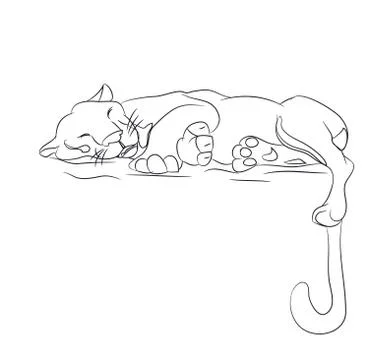 Lioness sleeping, lines, vector. Illustrazione stock