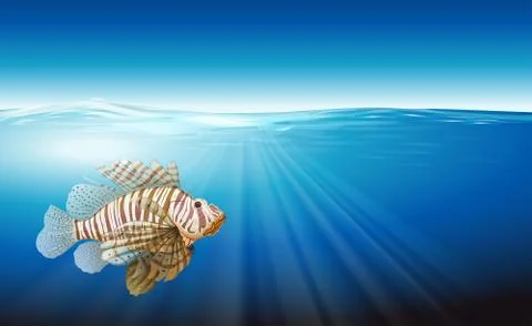A lionfish Stockillustratie