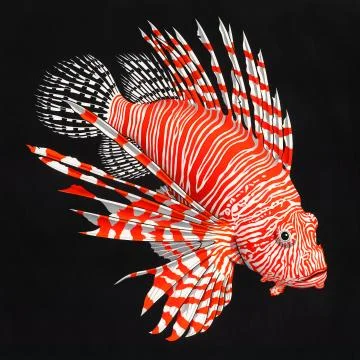 Lionfish Stock Photos