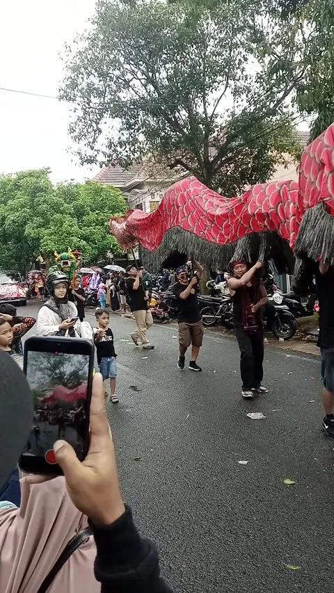 Liong show 库存影片 216988343