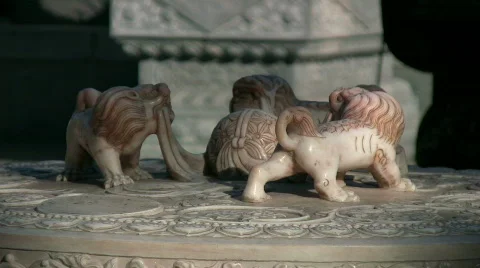 The lions 5 Stock Footage 281481