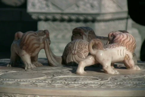 The lions 5 Stock Footage 302130