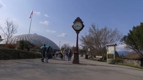 The Lions Clock -  Queen Elizabeth Park Stock-Footage 105204203