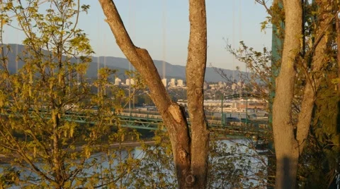Lions Gate Bridge from Prospect Point Stock Footage 49312069