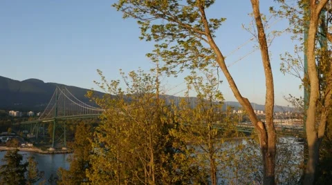 Lions Gate Bridge from Prospect Point Stock Footage 49313630