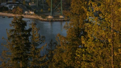 Lions Gate Bridge from Prospect Point Stock Footage 49314465