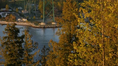 Lions Gate Bridge from Prospect Point Stock Footage 49314965