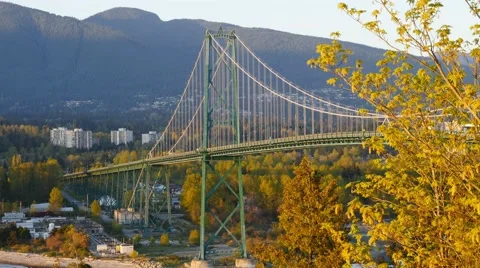 Lions Gate Bridge from Prospect Point Stock Footage 49315295