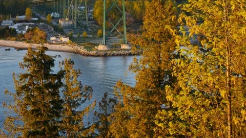 Lions Gate Bridge from Prospect Point Stock Footage 132685945