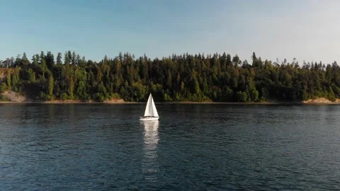 Lions Gate Bridge in Vancouver's harbor with pleasure craft passing by next to Stock Footage 142616163