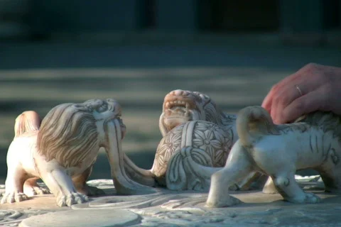 Lions &amp; hand 3 Stock Footage 302117
