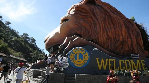 Lion's Head 2 Stock Footage 128481320