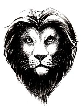 Lions, head Illustrazione stock