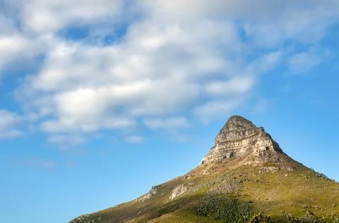 Lion's head Stock Photos